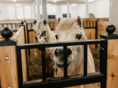 Apartment Appartement "Hochalm" - Outdoor photo 18