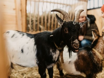 Apartment Appartement "Hochalm" - Outdoor photo 19