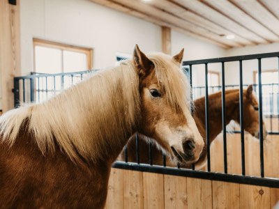 Apartment Appartement "Hochalm" - Outdoor photo 25