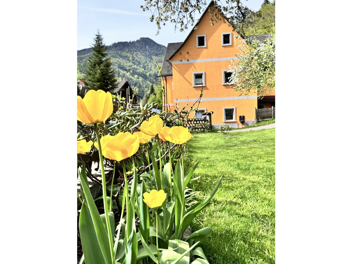 Apartment Ferienwohnung 1 - Outdoor photo 2