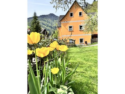 Apartment Ferienwohnung 1 - Outdoor photo 11