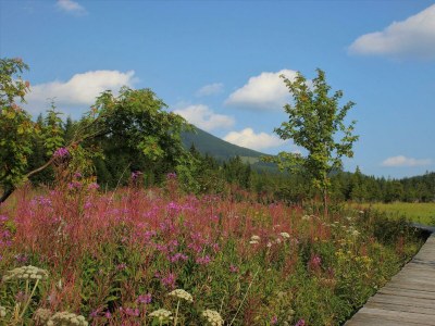 Apartment Ferienwohnung 1 - Outdoor photo 14