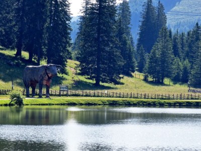 Apartment Ferienwohnung 1 - Outdoor photo 22