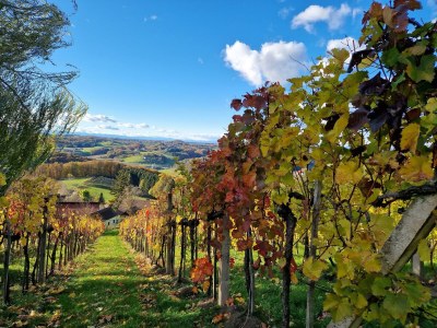 Apartment Ferienwohnung "Am Heissberg" - Outdoor photo 36