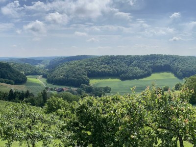 Apartment Ferienwohnung "Am Heissberg" - Outdoor photo 86