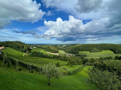 Apartment Ferienwohnung "Am Heissberg" - Outdoor photo 105