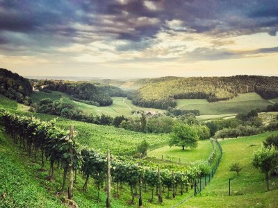 Apartment Ferienwohnung "Am Heissberg" - Outdoor photo 108