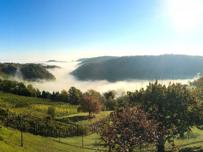 Apartment Ferienwohnung "Am Heissberg" - Outdoor photo 110