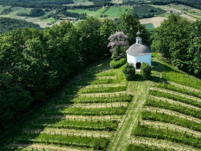 Apartment Ferienwohnung "Am Heissberg" - Outdoor photo 113