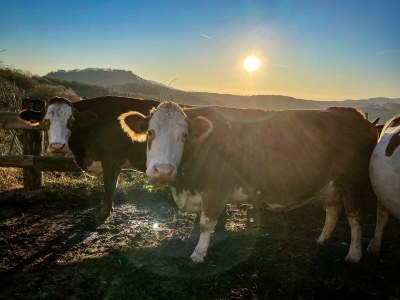 Apartment Ferienwohnung "Am Heissberg" - Outdoor photo 114