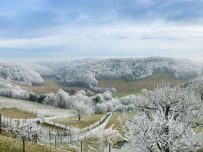 Apartment Ferienwohnung "Am Heissberg" - Outdoor photo 116