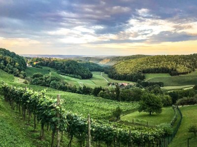 Apartment Ferienwohnung "Am Heissberg" - Features photo 133
