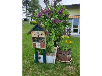 Apartment Ferienhaus - Outdoor photo 10