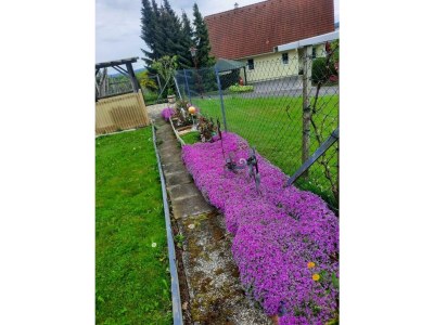 Apartment Ferienhaus - Outdoor photo 12