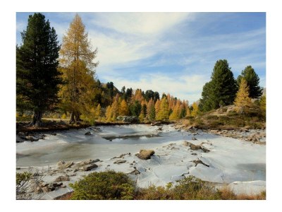 Apartment "TOP 3" 1Schlafr./1Wohnschlafr./DU/WC - Outdoor photo 6