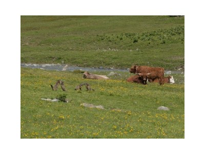 Apartment "TOP 3" 1Schlafr./1Wohnschlafr./DU/WC - Outdoor photo 8