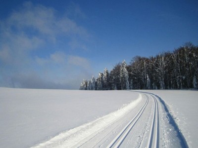 Apartment Wohnung in Sonnen nahe Skiliften - Environment photo 31