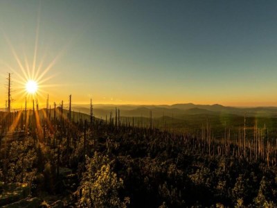 Apartment Wohnung in Sonnen nahe Skiliften - Environment photo 33