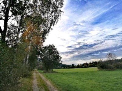 Apartment Wohnung in Sonnen nahe Skiliften - Environment photo 35