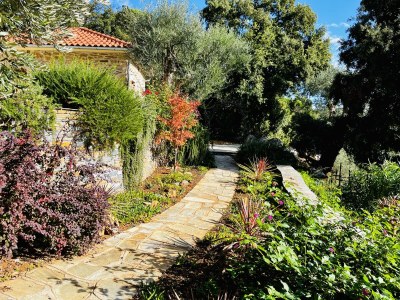 Holiday house Kalivi Elena - Outdoor photo 4