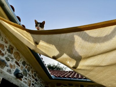 Holiday house Kalivi Elena - Outdoor photo 9