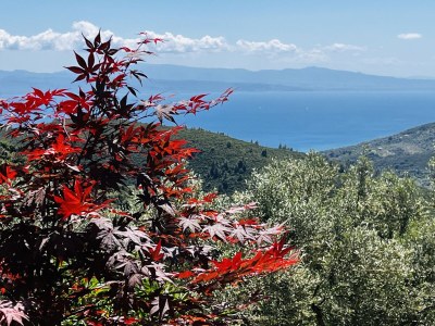 Holiday house Kalivi Elena - Outdoor photo 10