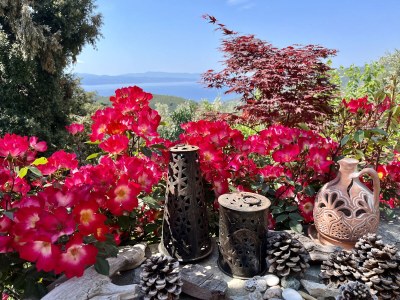 Holiday house Kalivi Elena - Outdoor photo 11