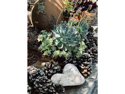 Holiday house Kalivi Elena - Outdoor photo 15