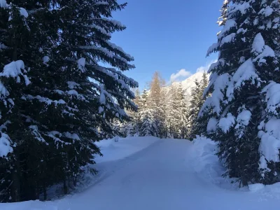 Apartment Appartement Grenzberg - Outdoor photo 22