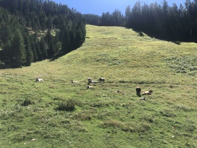 Apartment Appartement Grenzberg - Outdoor photo 25