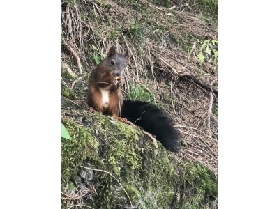 Apartment Appartement Grenzberg - Outdoor photo 26