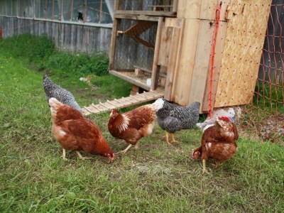 Holiday room Junior Suite Lammertal, Dusche, WC, Balkon - Outdoor photo 10