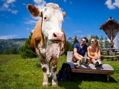 Holiday room Junior Suite Lammertal, Dusche, WC, Balkon - Outdoor photo 16