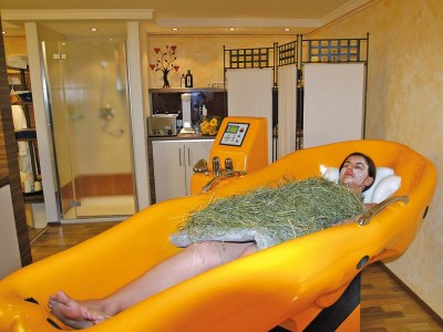 Holiday room Junior Suite Lammertal, Dusche, WC, Balkon - Outdoor photo 31