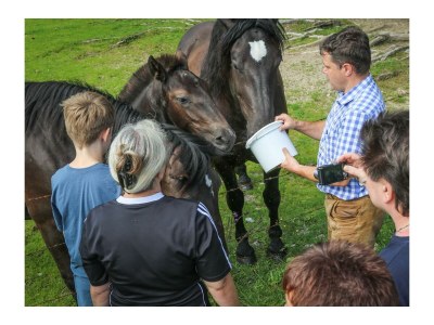 Holiday room Junior Suite Lammertal, Dusche, WC, Balkon - Outdoor photo 39
