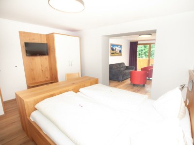 Holiday room Junior Suite Lammertal, Dusche, WC, Balkon - Features photo 47