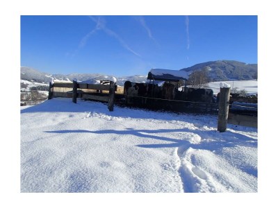 Apartment Apartment/3 Schlafräume/Dusche, WC - Outdoor photo 6