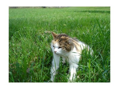 Apartment Apartment/3 Schlafräume/Dusche, WC - Outdoor photo 9