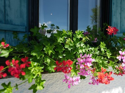 Apartment Wunderschönes Ferienhaus Stockinggut ☺ - Outdoor photo 5