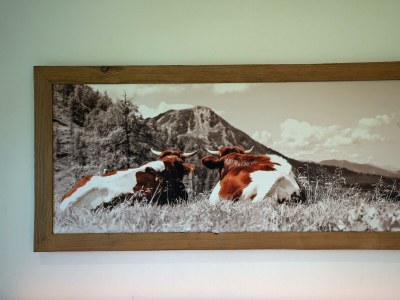 Apartment Wunderschönes Ferienhaus Stockinggut ☺ - Features photo 21