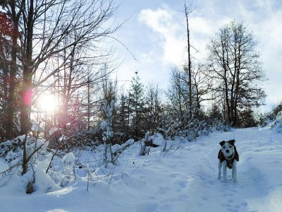 Holiday house Ferienhaus Froschkönig - Outdoor photo 10
