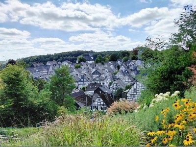 Holiday house Ferienhaus Froschkönig - Environment photo 31