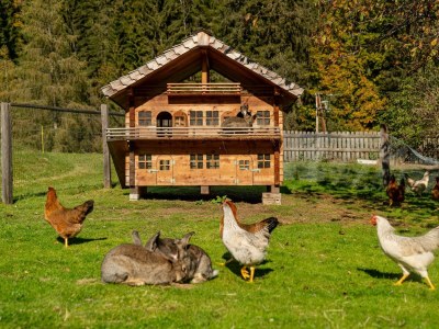 Apartment Appartement Dachsteinblick, 2 Schlafräume - Outdoor photo 5