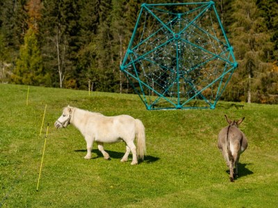 Apartment Appartement Dachsteinblick, 2 Schlafräume - Outdoor photo 6