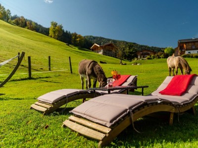 Apartment Appartement Dachsteinblick, 2 Schlafräume - Outdoor photo 13