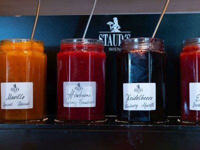 Apartment Appartement Dachsteinblick, 2 Schlafräume - Outdoor photo 32