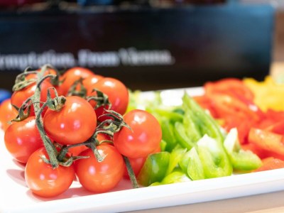 Apartment Appartement Dachsteinblick, 2 Schlafräume - Outdoor photo 43