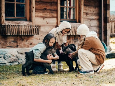 Apartment Naturhof Eibl - Outdoor photo 11