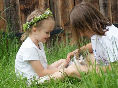 Apartment Naturhof Eibl - Outdoor photo 28