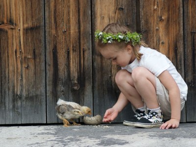 Apartment Naturhof Eibl - Outdoor photo 35